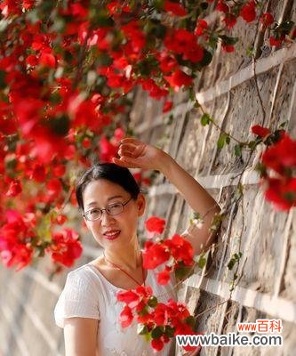 美丽绽放的意义 三角梅花语与寓意