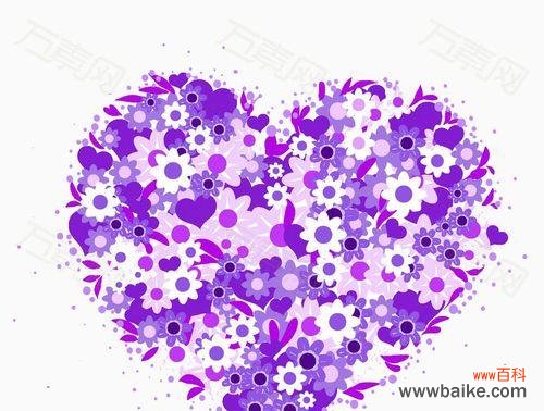 紫色野菊花花语的传递力量 紫色野菊花花语——寄托美好与希望