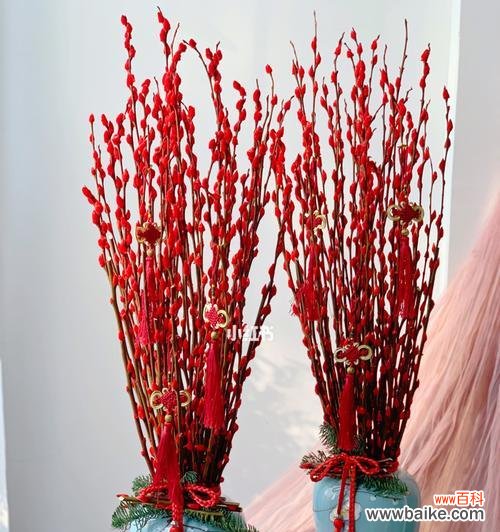 探寻银柳的文化内涵和社会意义 过年银柳的寓意与象征