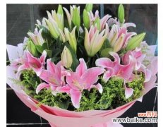 蓝、黄、粉 相映生辉的三色百合