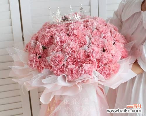 传递爱意与祝福的康乃馨花语 康乃馨花语