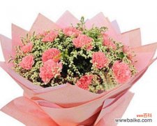 揭示康乃馨花束背后的情感语言 康乃馨19朵的深刻寓意