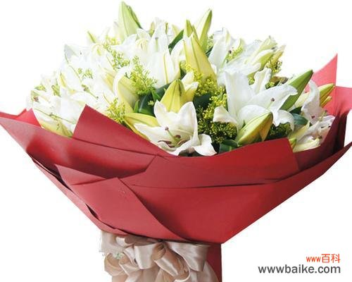 花语传递的浪漫与美好 爱的象征——十二朵玫瑰和一支百合