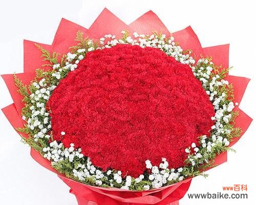 以十一朵康乃馨代表的意义和象征 康乃馨的花语与寓意