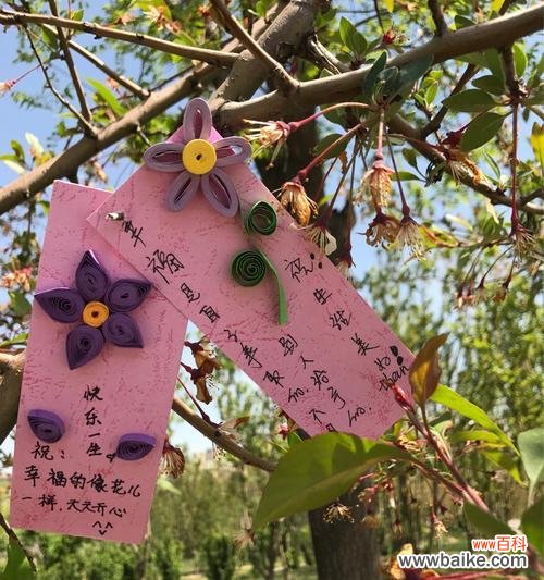 绽放梦想 以牡丹花为主题的实现愿望的花语