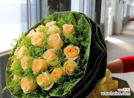 探究19朵香槟玫瑰的含义与象征 香槟玫瑰花语的深意