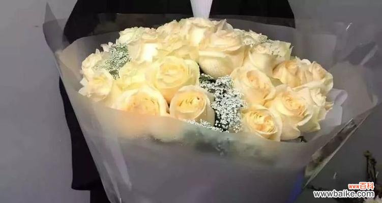 金色与温暖的花语传递你的深情 香槟金玫瑰花语代表什么意思