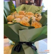 金色与温暖的花语传递你的深情 香槟金玫瑰花语代表什么意思