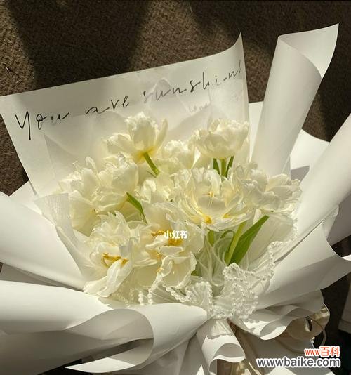 花开百态 白郁金香