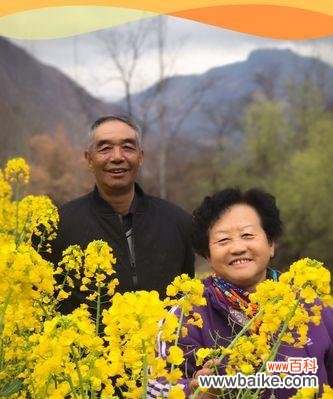 探索自然中父母之爱的象征 植物中象征父母之爱的种类及意义