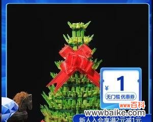 探索宝塔富贵竹的三层寓意及其 宝塔富贵竹