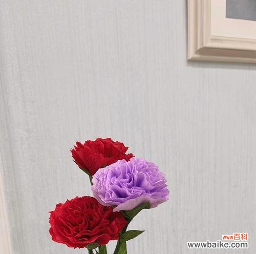 探寻康乃馨花的浪漫情感世界 康乃馨花的含义与象征