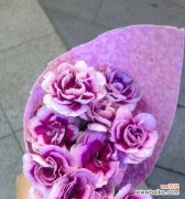 探寻康乃馨花在不同文化中的意义与表达方式 康乃馨花的象征意义及文化传承