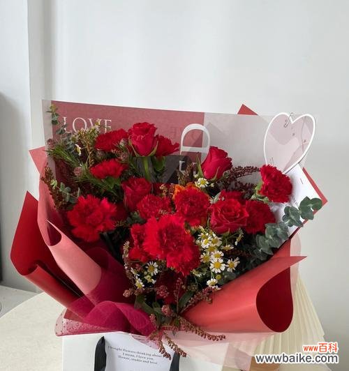 探寻康乃馨花在不同文化中的意义与表达方式 康乃馨花的象征意义及文化传承