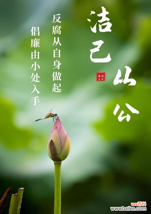 揭示品德高尚的花草 清廉之花——探索象征清廉的植物世界