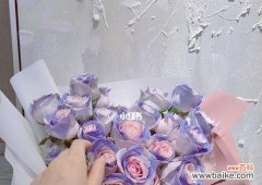 用泡泡玫瑰传递爱意 狂欢泡泡玫瑰的浪漫花语