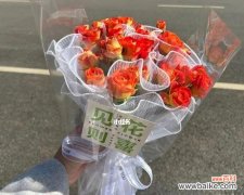 用泡泡玫瑰传递爱与激情 狂欢泡泡玫瑰