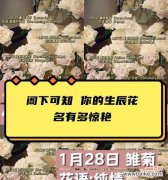 每种花都有自己的爱情密码，让我们一起破译吧！ 用花语表达爱意