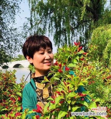 以象征友谊长存的植物为主题的探索与分享 植物中的友谊长存