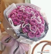 绽放于严寒中的温暖 冷美人玫瑰