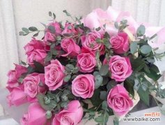 从玫瑰的花语看人生态度与情感表达 冷美人玫瑰的花语