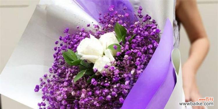 神秘的满天星花 满天星的象征意义与寓意