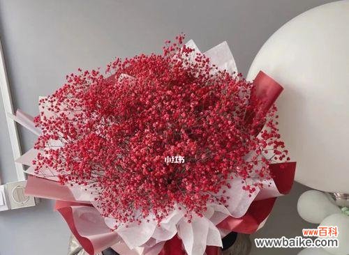 用满天星的红色演绎浪漫与激情 满天星的红颜色花语