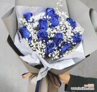 探索满天星花语南色的深度及其独特之处 满天星花语南色-迷人花朵的另一面