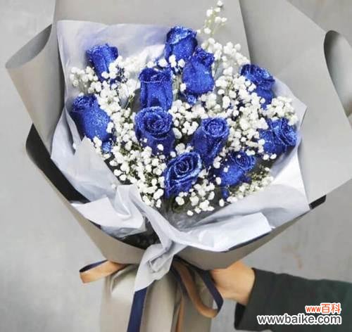 探索满天星花语南色的深度及其独特之处 满天星花语南色-迷人花朵的另一面