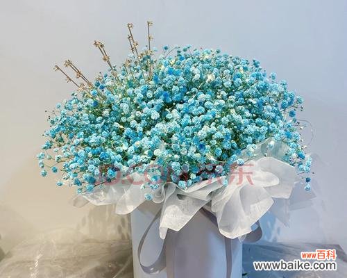 探寻满天星鲜花的深层寓意 满天星鲜花的含义与象征