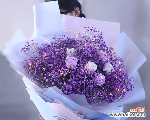 探寻满天星鲜花的深层寓意 满天星鲜花的含义与象征