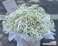 探寻满天星鲜花的深层寓意 满天星鲜花的含义与象征