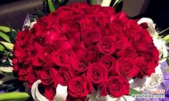 顺境中的成长与转变 以一帆风顺会开花吗