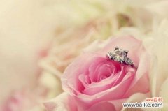 红色玫瑰花代表什么 玫瑰花的象征意义及文化传承