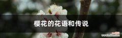探索樱花的寓意和花语 樱花的寓意与花语——美丽的绽放