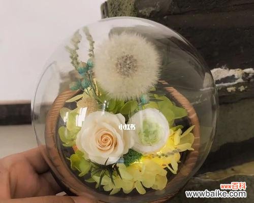 探索永生花的花语 永生花