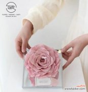 探索永生花的花语 永生花