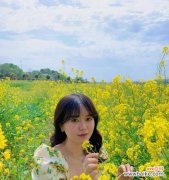 一朵金黄的希望与美丽传说 油菜花传说与花语