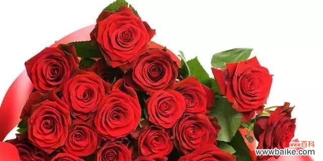 用一束52朵玫瑰传递深沉的爱意与祝福 52朵玫瑰的花语及其象征的含义