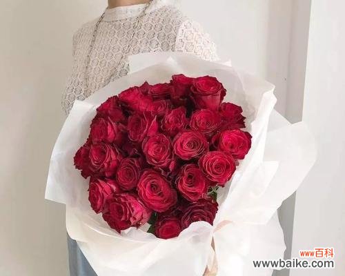 探寻每一朵花的深意 浪漫之花