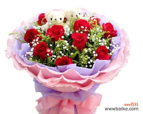 传递情感的红玫瑰花语解析 红玫瑰花语的深意