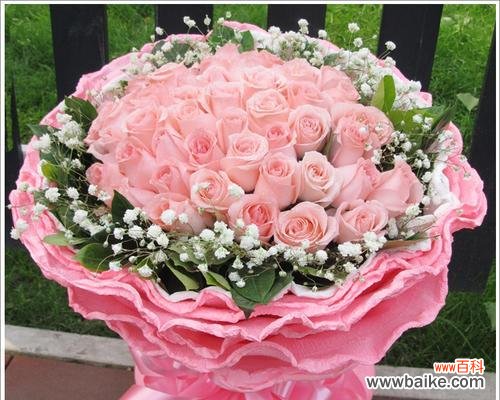 爱情 11朵粉玫瑰的意义及象征