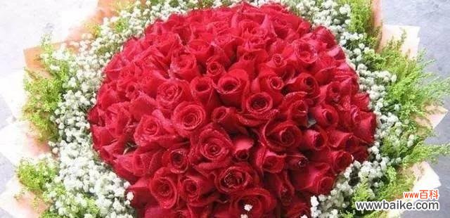 探寻十朵玫瑰花所代表的深刻含义 十朵玫瑰花的寓意与象征