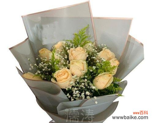 深入解读11朵红玫瑰所代表的情感和寓意 11朵红玫瑰的象征意义