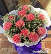 以花朵的数量传达深刻情感与祝福 11朵康乃馨的意义与象征