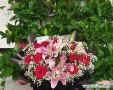 玫瑰花语之深情款款的爱意 11朵玫瑰的象征意义