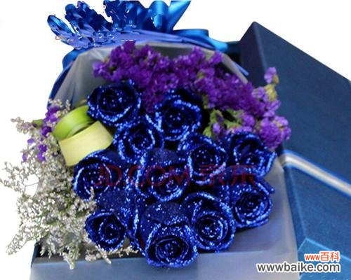 探寻11朵蓝色妖姬的象征意义 蓝色妖姬