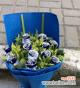 探寻11朵蓝色妖姬的象征意义 蓝色妖姬