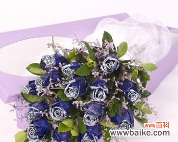 探寻11朵蓝色妖姬的象征意义 蓝色妖姬