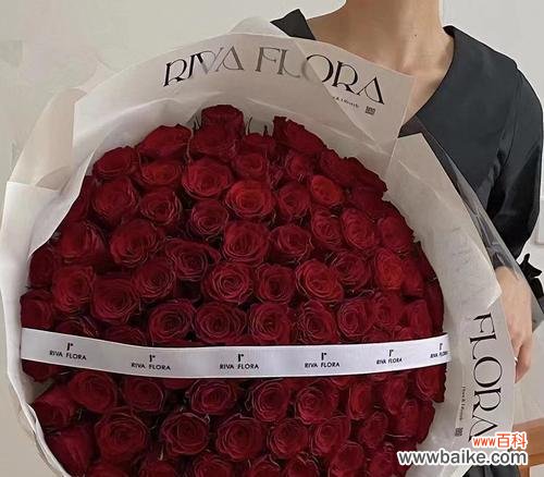 11朵玫瑰的寓意与象征